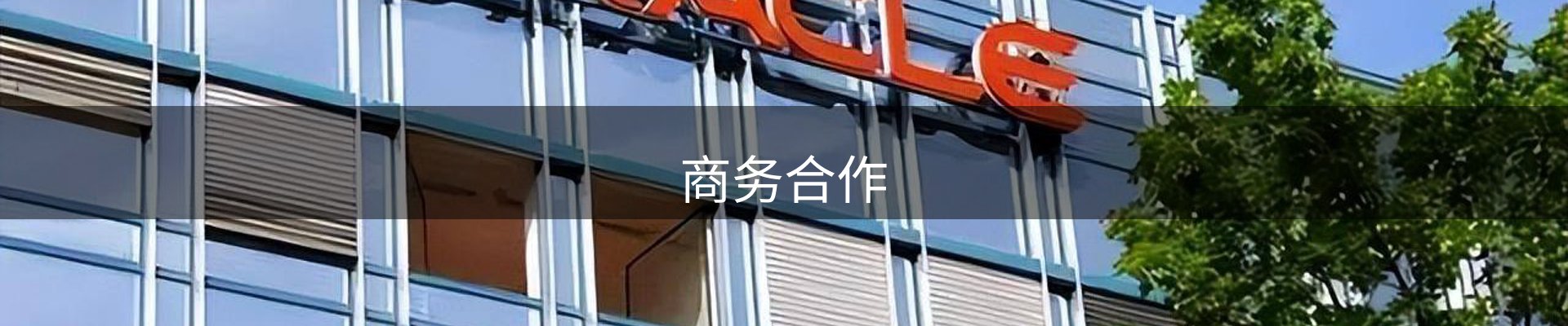 商务合作