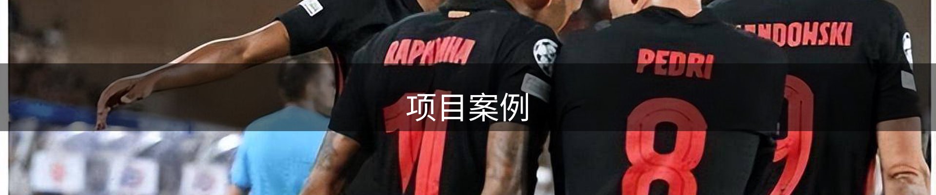 项目案例